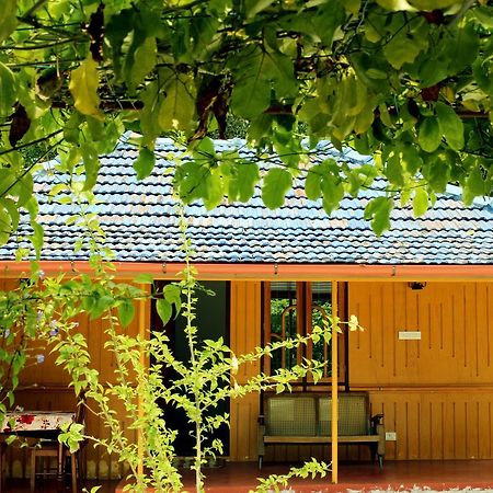 Marari Beach Pearl Homestay Марарікулем Екстер'єр фото