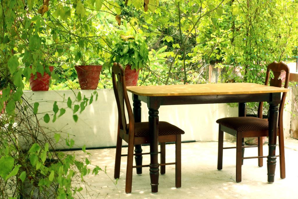 Marari Beach Pearl Homestay Марарікулем Екстер'єр фото