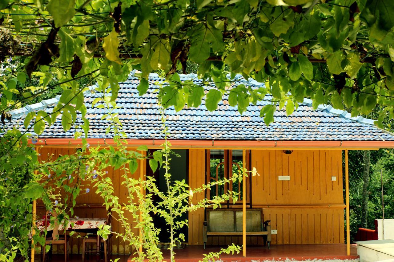 Marari Beach Pearl Homestay Марарікулем Екстер'єр фото